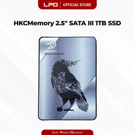 HKCMemory DS600 1TB 2.5