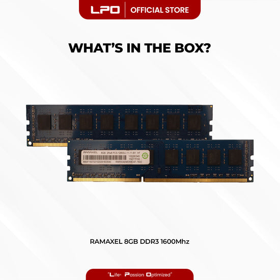 Ramaxel 8GB DDR3 1600Mhz DIMM for Desktop RAM