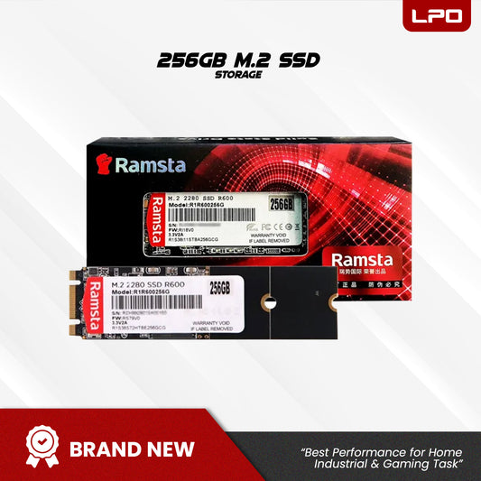 Ready to Build: Ramsta 256GB M.2 SSD